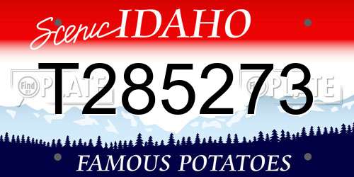 T285273 Idaho License Plate