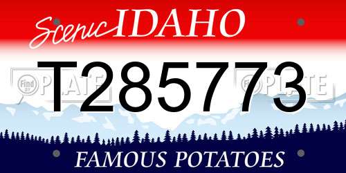 T285773 Idaho License Plate