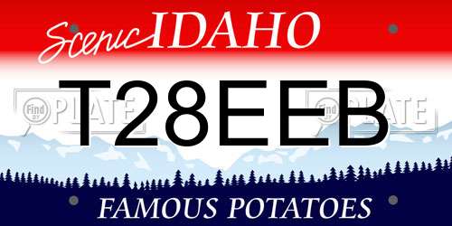 T28EEB Idaho License Plate