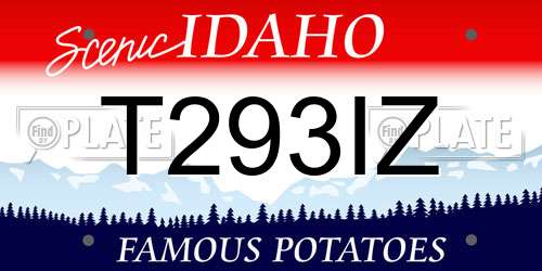 T293IZ Idaho License Plate