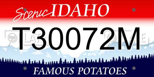 T30072M Idaho License Plate