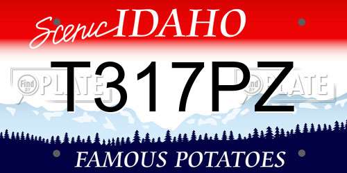 T317PZ Idaho License Plate
