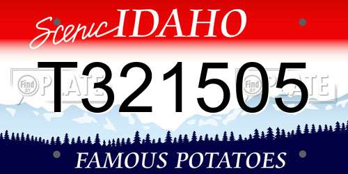 T321505 Idaho License Plate