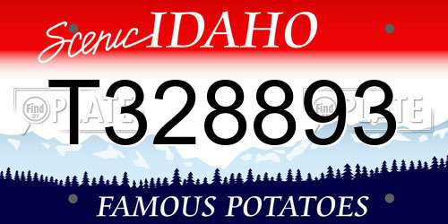 T328893 Idaho License Plate