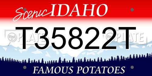T35822T Idaho License Plate