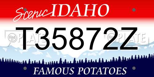 T35872Z Idaho License Plate