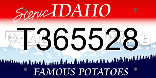 T365528 Idaho License Plate