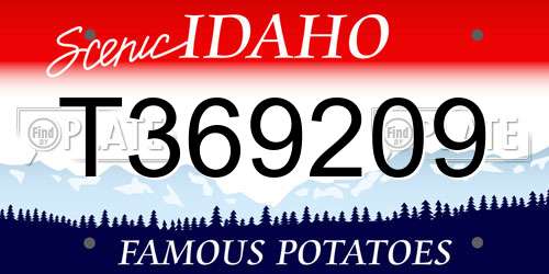 T369209 Idaho License Plate