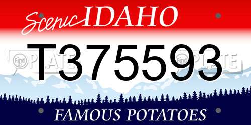 T375593 Idaho License Plate