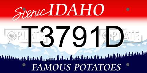 T3791D Idaho License Plate