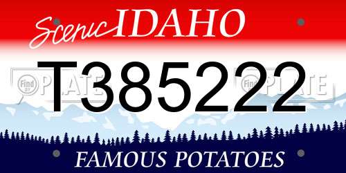 T385222 Idaho License Plate