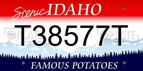 T38577T Idaho License Plate