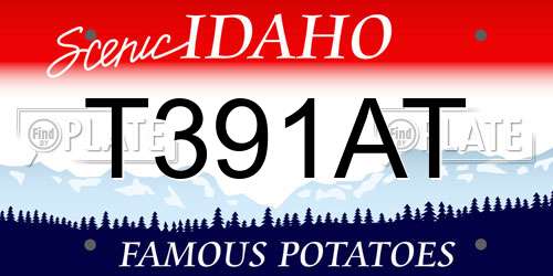 T391AT Idaho License Plate