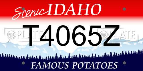 T4065Z Idaho License Plate