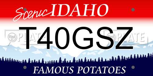 T40GSZ Idaho License Plate