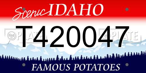 T420047 Idaho License Plate