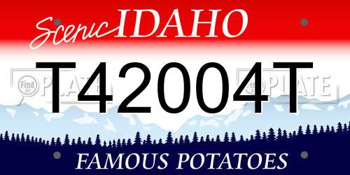 T42004T Idaho License Plate