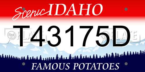 T43175D Idaho License Plate