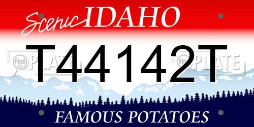 T44142T Idaho License Plate