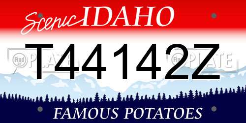 T44142Z Idaho License Plate