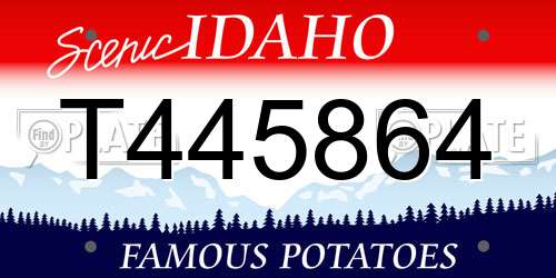 T445864 Idaho License Plate