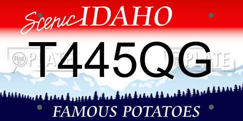 T445QG Idaho License Plate