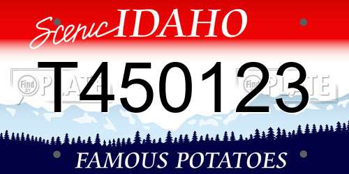 T450123 Idaho License Plate