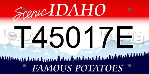 T45017E Idaho License Plate