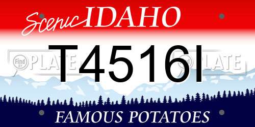 T4516I Idaho License Plate