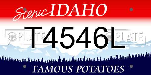 T4546L Idaho License Plate
