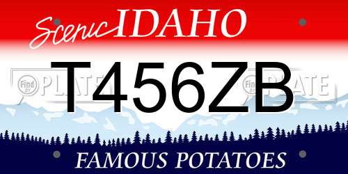 T456ZB Idaho License Plate