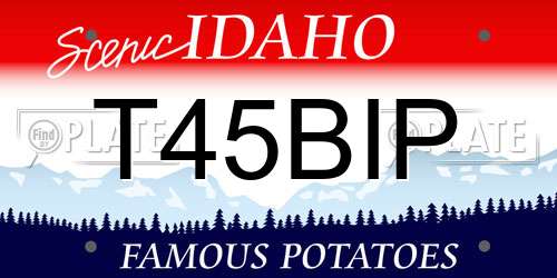 T45BIP Idaho License Plate