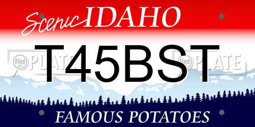 T45BST Idaho License Plate