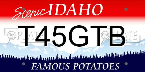 T45GTB Idaho License Plate