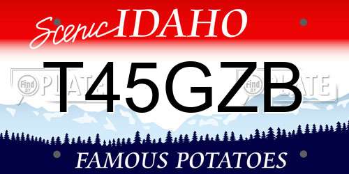 T45GZB Idaho License Plate