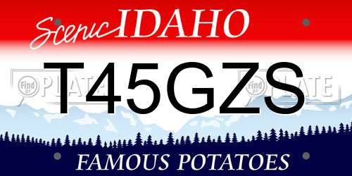 T45GZS Idaho License Plate