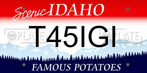 T45IGI Idaho License Plate