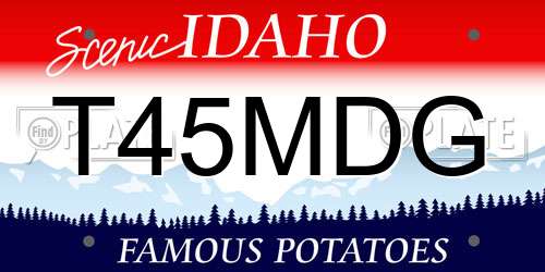 T45MDG Idaho License Plate