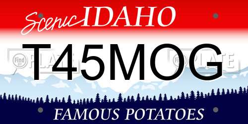 T45MOG Idaho License Plate