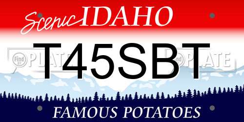 T45SBT Idaho License Plate