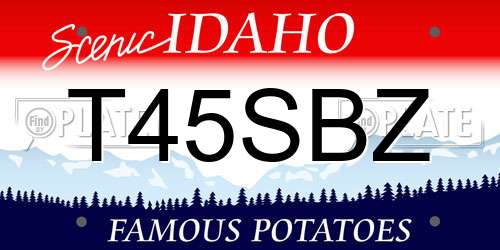 T45SBZ Idaho License Plate