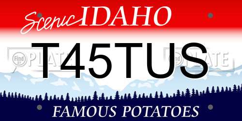T45TUS Idaho License Plate