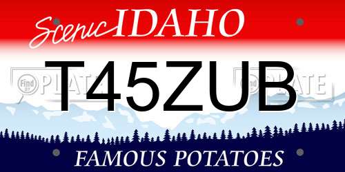T45ZUB Idaho License Plate