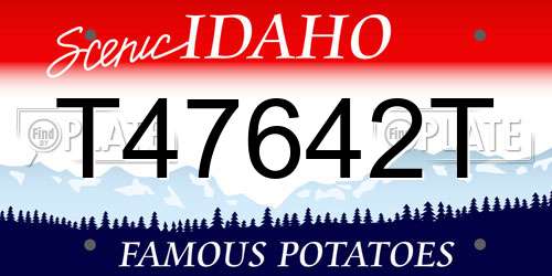 T47642T Idaho License Plate