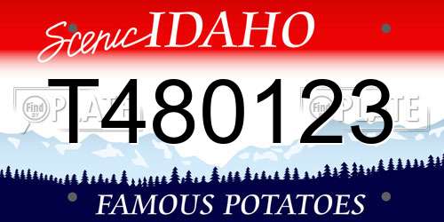 T480123 Idaho License Plate