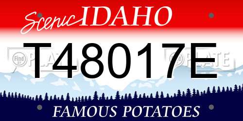 T48017E Idaho License Plate