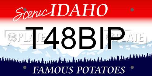 T48BIP Idaho License Plate