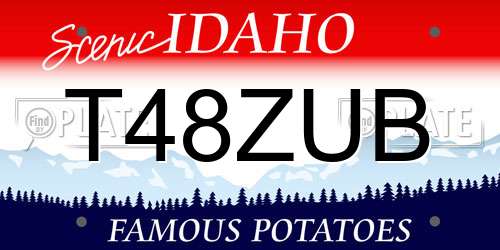 T48ZUB Idaho License Plate