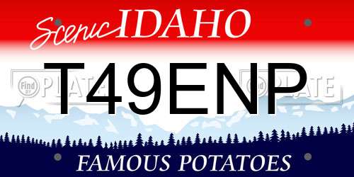 T49ENP Idaho License Plate