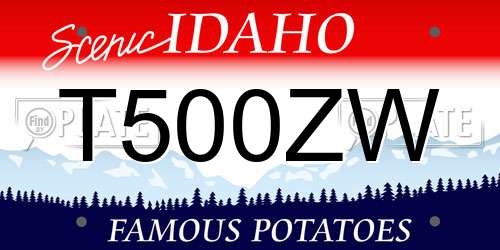 T500ZW Idaho License Plate